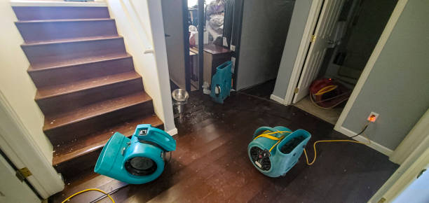Best Flooded house restoration  in Belton, TX