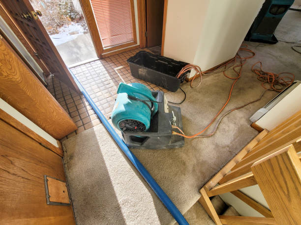 Best Water damage cleanup near me  in Belton, TX