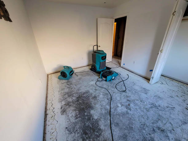 Best Commercial water damage restoration  in Belton, TX