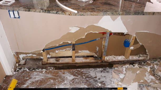 Best Carpet water damage restoration  in Belton, TX